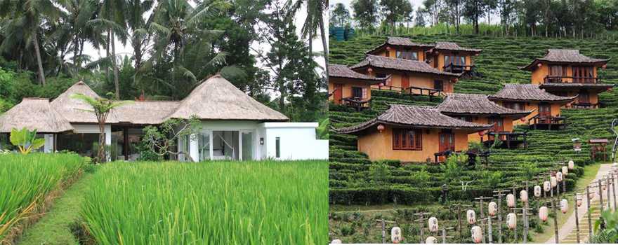 Biệt thự sinh thái nông thôn