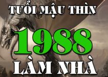 Phong thủy thiết kế biệt thự 2020 cho người tuổi Mậu Thìn 1988