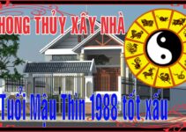 Phong thủy xây biệt thự năm 2020 cho người tuổi Mậu Thìn sinh năm 1988 Phong thủy xây biệt thự năm 2020 cho người tuổi Mậu Thìn sinh năm 1988