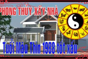 phong thuy xay biet thu 1988 Phong thủy xây biệt thự năm 2020 cho người tuổi Mậu Thìn sinh năm 1988