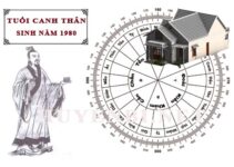 Tư vấn xây dựng biệt thự chuẩn phong thủy cho tuổi Canh Thân 1980 Tư vấn xây dựng biệt thự chuẩn phong thủy cho tuổi Canh Thân 1980