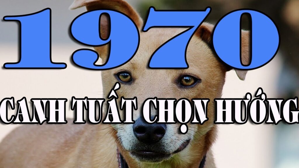 phong thuy xay biet thu canh tuat 1970 Xem phong thủy từ A - Z xây biệt thự 2020 cho tuổi Canh Tuất 1970