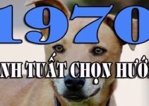 Xem phong thủy từ A – Z xây biệt thự 2020 cho tuổi Canh Tuất 1970 Xem phong thủy từ A – Z xây biệt thự 2020 cho tuổi Canh Tuất 1970