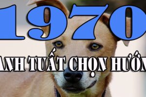 phong thuy xay biet thu canh tuat 1970 Xem phong thủy từ A - Z xây biệt thự 2020 cho tuổi Canh Tuất 1970