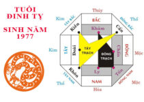 Trọn bộ bí quyết phong thủy xây biệt thự tuổi Đinh Tỵ 1977 từ A – Z Trọn bộ bí quyết phong thủy xây biệt thự tuổi Đinh Tỵ 1977 từ A – Z