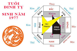 phong thuy xay biet thu dinh ty 1977 Trọn bộ bí quyết phong thủy xây biệt thự tuổi Đinh Tỵ 1977 từ A - Z