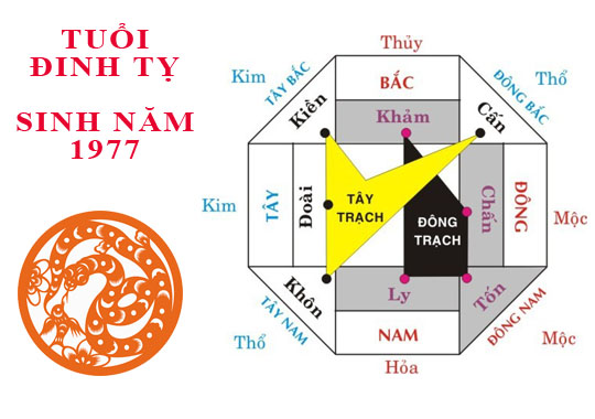 Tuổi Đinh Tỵ 1977 Hợp Hướng Nào - Chọn Hướng Nhà Mang Lại Tài Lộc Và Bình An