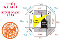 Phong thủy chọn màu sơn xây biệt thự hợp mệnh tuổi 1979 Phong thủy chọn màu sơn xây biệt thự hợp mệnh tuổi 1979
