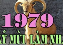Top 10 điều kiêng kỵ khi xây biệt thự gia chủ 1979 nhất định phải biết Top 10 điều kiêng kỵ khi xây biệt thự gia chủ 1979 nhất định phải biết
