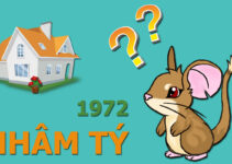 Để chuẩn phong thủy bát trạch gia chủ Nhâm Tý 1972 nên xây biệt thự 2020 thế nào? Để chuẩn phong thủy bát trạch gia chủ Nhâm Tý 1972 nên xây biệt thự 2020 thế nào?