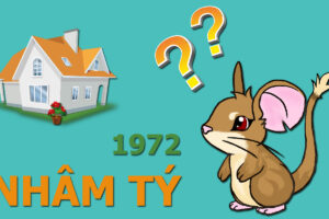 phong thuy xay biet thu nham ty 1972 Để chuẩn phong thủy bát trạch gia chủ Nhâm Tý 1972 nên xây biệt thự 2020 thế nào?