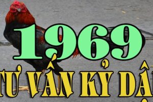 phong thuy xay biet thu quy suu 1969 Tiết lộ hướng xây biệt thự năm 2020 hợp tuổi Kỷ Dậu 1969 từ sách phong thủy cổ